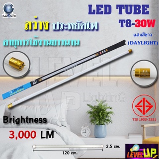 (แพ็ค 1 หลอด) หลอดไฟนีออน LED หลอดไฟ LED หลอดประหยัดไฟ LED T8 30W IWACHI ขั้วสีทอง สว่างเต็ม 3,000 LM หลอดไฟยาว แสงสีขาว