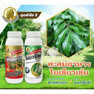 แมกซิงค์  1 ลิตร พ่นทางใบ สะสมอาหารใบเขียวเข้ม