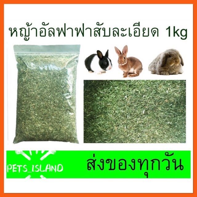 Alfalfa Hay หญ้าอัลฟาฟ่า1kg. แบบสับ สะดวกให้ สะดวกกิน เหมาะสำหรับ ลูกกระต่ายอายุไม่เกิน6เดือน แม่กระต่ายให้นม แกสบี้