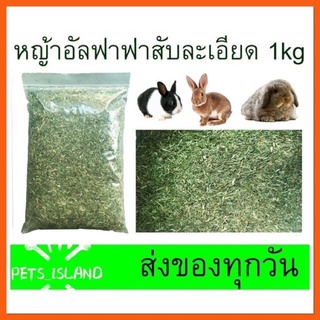 Alfalfa Hay หญ้าอัลฟาฟ่า1kg. แบบสับ สะดวกให้ สะดวกกิน เหมาะสำหรับ ลูกกระต่ายอายุไม่เกิน6เดือน แม่กระต่ายให้นม แกสบี้