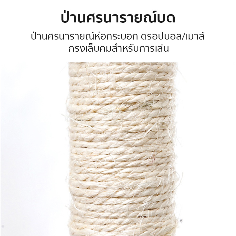 ฝนเล็บแมว คอนโดแมวราคาถูก คอนโดแมว ที่ลับเล็บแมว ที่ฝนเล็บแมว ลับเล็บแมว คอนโดแมวเล็ก ของเล่นแมว ราคา ถูกที่สุด ดีลบีเคเค แกลเลอรีภาพที่ 8