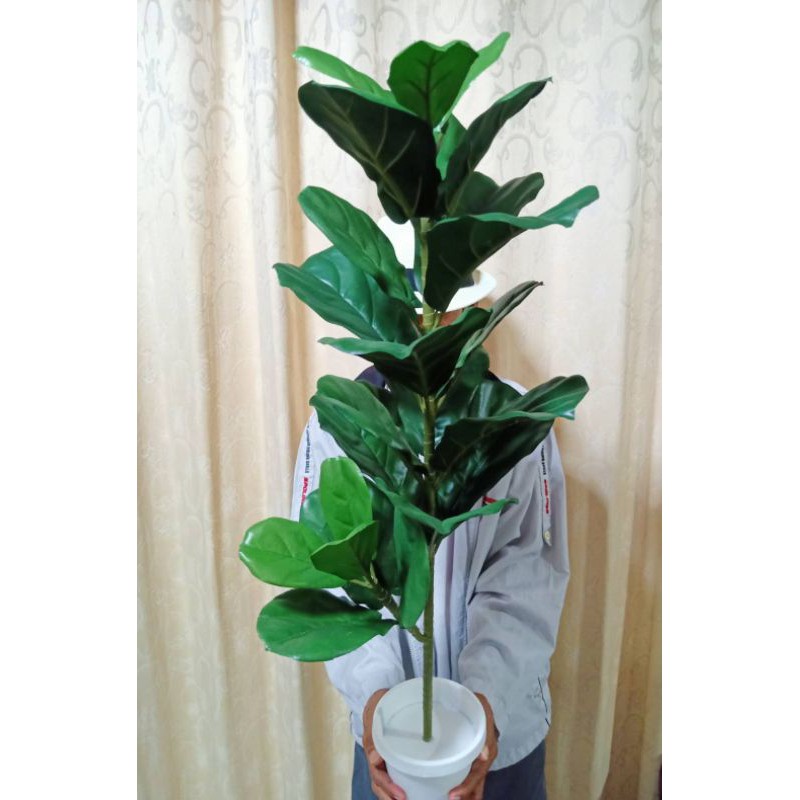 ต้นไม้ปลอม ต้นไทรใบสักปลอม สูง 95 cm. กระถางสีขาว + หิน!!!