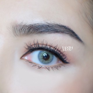 VANDA LENS คอนแทคเลนส์สายฝอ รุ่น Lisse Gray (ใส่ค่าสายตาในหมายเหตุ)