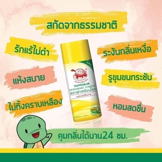 ขายดี โฉมใหม่ก็มี🔥🐢 แป้งเต่าเหยียบโลก 🐢เต่าเหยียบโลก 🐢 พร้อมส่งด่วนๆ 📌