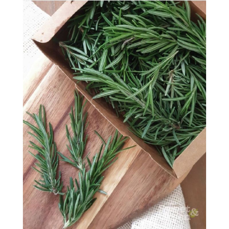 เมล็ดโรสเเมรี่ 0.1 กรัม