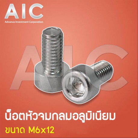 น็อต หัวจม อลูมิเนียม M5-M6 แพ็ค4 @ AIC ผู้นำด้านอุปกรณ์ทางวิศวกรรม