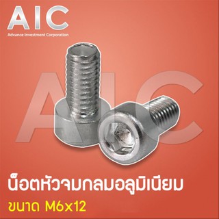 น็อต หัวจม อลูมิเนียม M5-M6 แพ็ค4 @ AIC ผู้นำด้านอุปกรณ์ทางวิศวกรรม