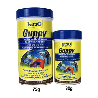 Tetra Guppy สำหรับปลาหางนกยูง ปลาคิลลี่และปลาออกลูกเป็นตัวชนิดอื่นๆ  (อาหารชนิดแผ่น) (30g, 75g)