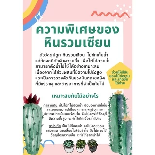 ดินปลูกไม้อวบน้ำ (โดยเฉพาะ) เหมาะมากกับกุหลาบหิน ฮาโวเทีย และไลทอป สูตรพรีเมี่ยม หินรวมเซียน อวบน้ำ วัสดุปลูก ดินปลูก
