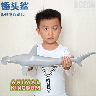 Animal Kingdom - โมเดลสัตว์ ฉลามหัวฆ้อน ขนาด 41.00 CM แบนิ่่ม (จากสงขลา)