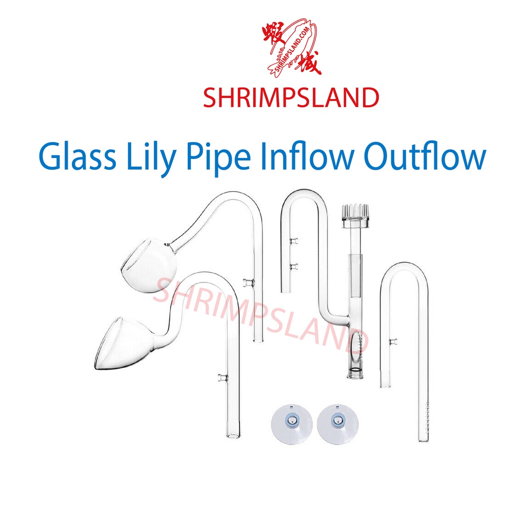 [SHRIMPSLAND] Aquarium Glass Inflow Outflow Lily Poppy Skimmer Pipe