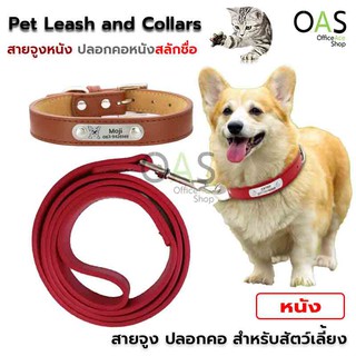 Pet Leash and Collars สายจูงหนัง ปลอกคอหนัง พร้อมสลักชื่อ สำหรับสัตว์เลี้ยง