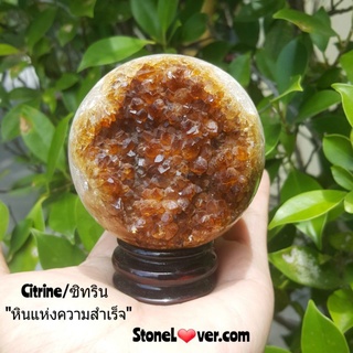 #Citrine #Cluster Citrine#ซิทริน