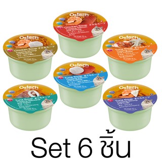 [Set6ถ้วยสุดคุ้ม]Ostech ออสเทค น้ำซุปสำหรับแมว ซุบทูน่าและไก่ สำหรับแมว ขนาด 70g