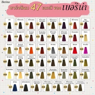 สีผม เบอริน่า Berina Hair Color