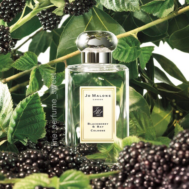 น้ำหอมแท้แบ่งขาย Jo Malone Blackberry Bay perfumesweet ThaiPick