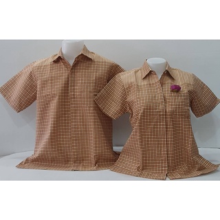 เสื้อเชิ๊ตอัดกาวสีเหลืองทองลายชิโนริสก๊อต ชาย/หญิง