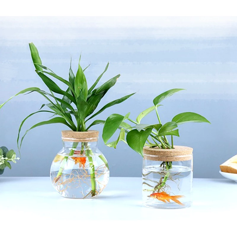 แก้วบอโรซิลิเกตสูงปลูกหม้อ hydroponic พืชขวดแก้วสำนักงานดูนิเวศวิทยาขวดภาชนะตกแต่งประเทศไทยคลังสินค้าจัดส่งตลอด 24 ชั่วโ
