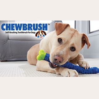 Chewbrush กระดูกยางขัดฟันสุนัข กระดูกหมา ช่วยขัดฟัน ของเล่นสุนัข