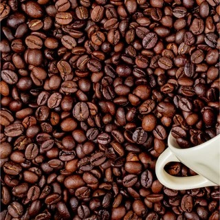 Pandora Coffee เมล็ดกาแฟ โคลัมเบีย Colombia Caribecafe Santander คั่วกลาง Medium Roast