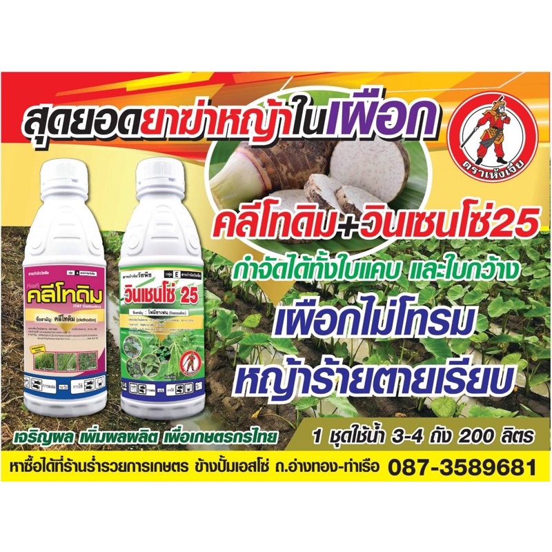 ชุดคู่ ( วินเซนโซ่ 1 ลิตร + คลีโทดิม 1 ลิตร ) 🔴 กำจัดใบกว้างใบแคปเผือก , มันสำปะหลัง