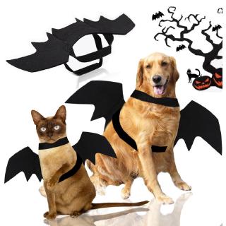 Golden Retriever Big Dog Small Medium Large Dog Adult Dog Halloween Bat Wings Cat Foreign Trade Funny