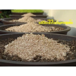 เปลือกไข่ไก่บดป่นตากแห้ง 1 กิโลกรัม (เปลือกไข่ไก่บดทั้งลูกพร้อมเยื่อเปลือกไข่ เศษไข่แดง เศษไข่ขาว) ใช้ผสมดิน บำรุงต้นไม้