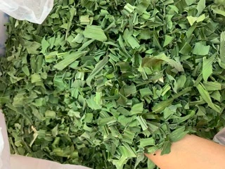 ใบเตยหอมอบแห้งและใบเตยบดผงเกรดAAA เขียวสวย 200กรัม150บาท