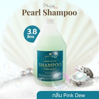 แชมพูแกลลอน เพอร์เฟค เพิร์ล 3.8 ลิตร [Perfect Pearl Shampoo] สำหรับโรงแรม รีสอร์ท สปา และห้องพักในอพาร์ทเม้น