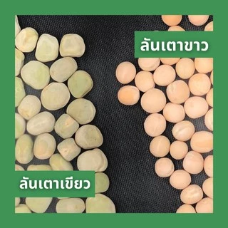ลันเตาเขียว ดิบ 500 กรัม Green peas, Green matar, Green mutter 500g