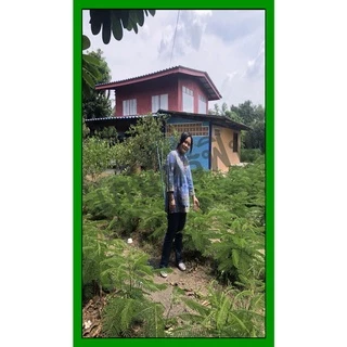 โพลิเมอร์ สารอุ้มน้ำเกษตรฟิน ใช้แล้วฟิน ขนาด 1 กิโลกรัม สำหรับปลูกต้นไม้ เพื่อการเกษตรโดยตรง
