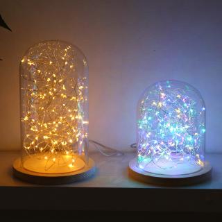 ไฟ  LED สำหรับตกแต่งคริสมาสต์ โคมไฟตกแต่งกลางแจ้ง Outdoor Star Light LED