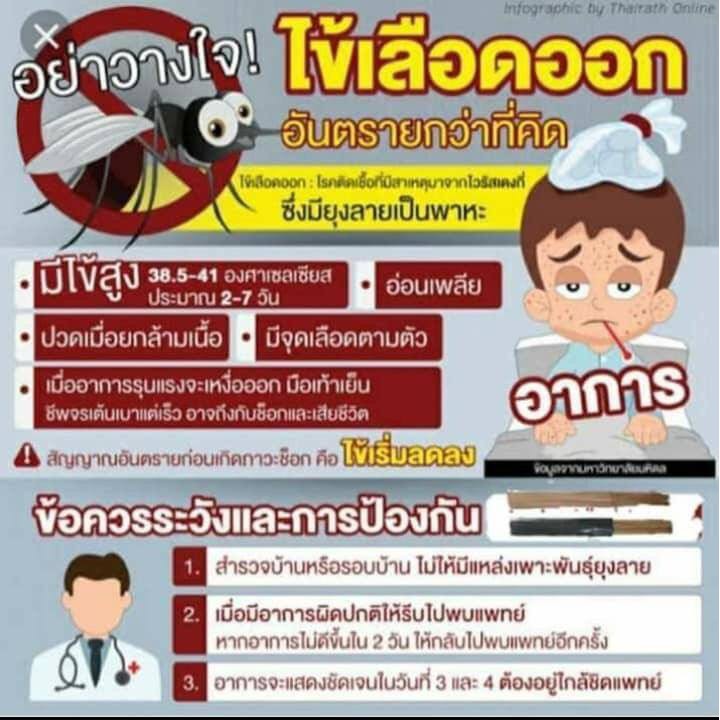 ธูปสมุนไพรไล่ยุง ฆ่ายุงได้ตายเรียบใน 1-2 ดอก รูปที่ 2