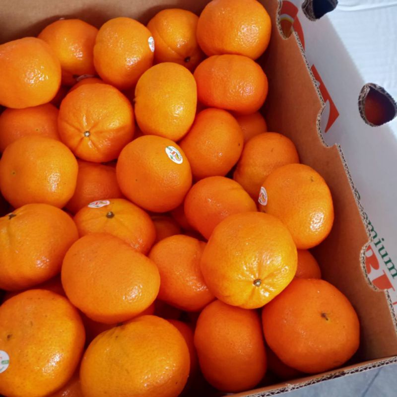 ส้มใต้หวัน 🍊1 kg.🍊ไซร์ L,XL หวาน หอม อร่อย แช่เย็นชื่นใจ🍊🍊 สั่งเลย✔✔ - รูปที่ 5