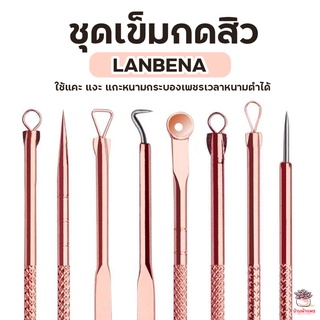 ชุดเข็มกดสิว Lanbena ใช้แคะ แงะ แกะหนามกระบองเพชรเวลาหนามตำได้จ้า