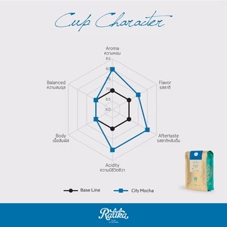 Ratika | ยิ่งซื้อ ยิ่งลด เมล็ดกาแฟคั่ว กาแฟอราบิก้าแท้ 100% คั่วอ่อนตรา ฮิลล์คอฟฟ์ (City Mocha) 500 g ขนาด 2 KG / 4 KG
