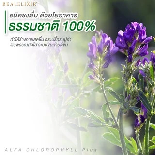 Real Elixir Alfa Chlorophyll Plus ( คลอโรฟิลล์ )