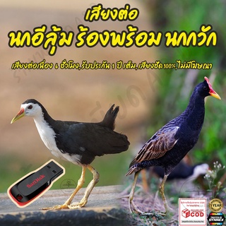 เสียงต่อ นกอีลุ้ม ร้องพร้อม นกกวัก ยาว6ชั่วโมง ไม่มีโฆษณา แฟลชไดร์ฟ(Flash Drive) มีเก็บเงินปลายทาง