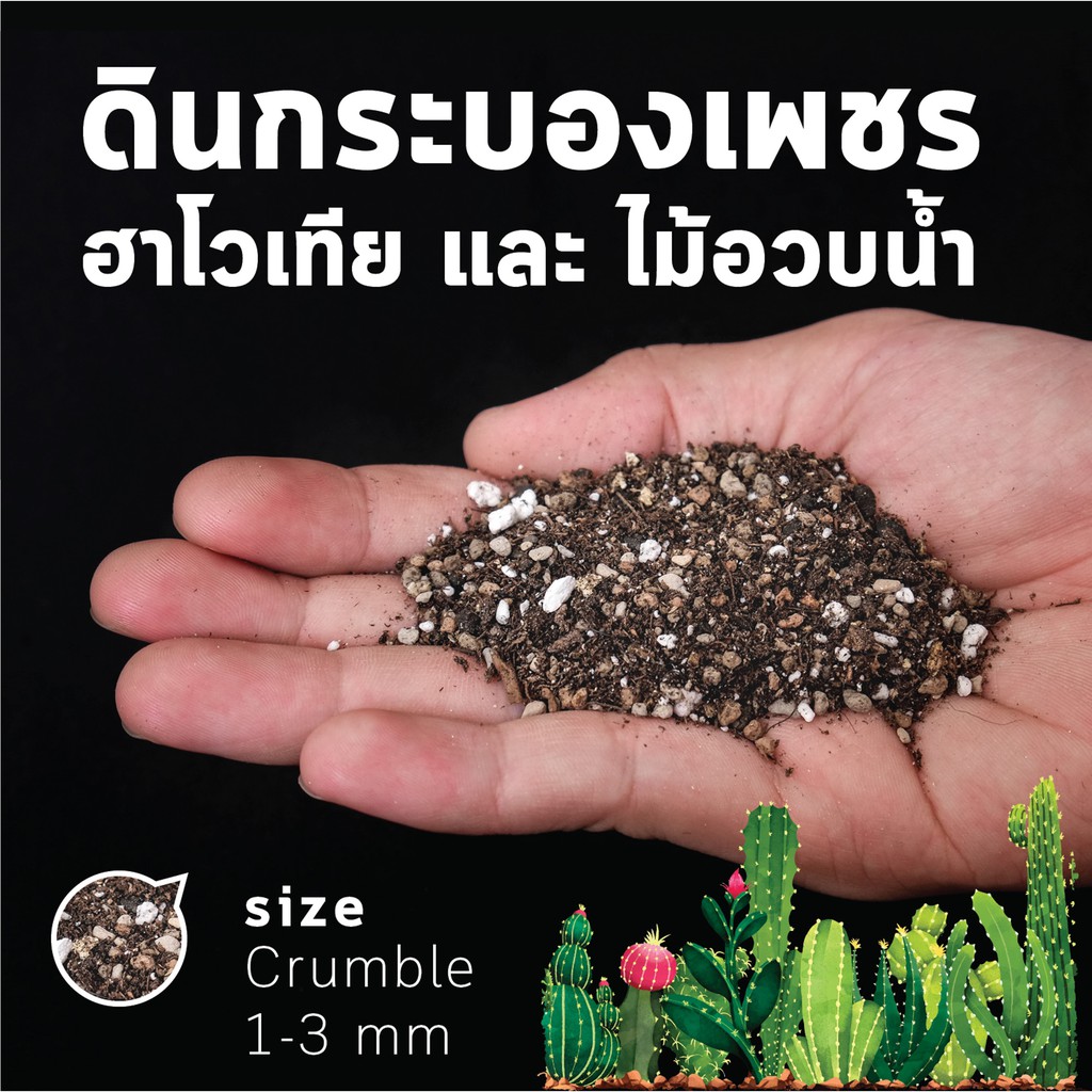 ดินกระบองเพชร ดินเเคคตัส ดินไม้อวบน้ำ ผสมพร้อมปลูก by miNATURE_c