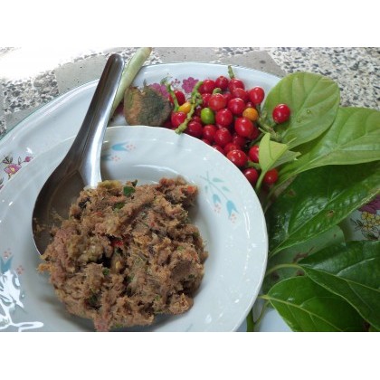 ต้นแมงดาหรือทำมัง พร้อมส่ง สำคัญกรุณาสั่งซื้อในเวลา12:00น.-00:00น. - รูปที่ 2