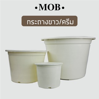 MOB กระถางต้นไม้ กระถางขาว สีขาว สีครีม 6 นิ้ว 10 นิ้ว 15 นิ้ว กระถางพลาสติก กระถางราคาถูกสำหรับปลูกต้นไม้ทั่วไป