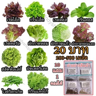 เมล็ดผักอินทรีย์ เมล็ดพันธุ์ผักสลัด เมล็ดผักสลัด 200-300 เมล็ด 20 บาท [10 แถม 1 คละได้]