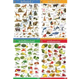 Aksara for kids โปสเตอร์ อาบเงา คละแบบ สั่งขั้นต่ำ 4 แผ่นขึ้นไป