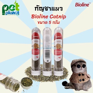 [5กรัม] กัญชาแมว bioline Catnip ผงแคทนิป แมวเคลิ้ม Catnip สำหรับ แมว แคทนิป ราคาประหยัด