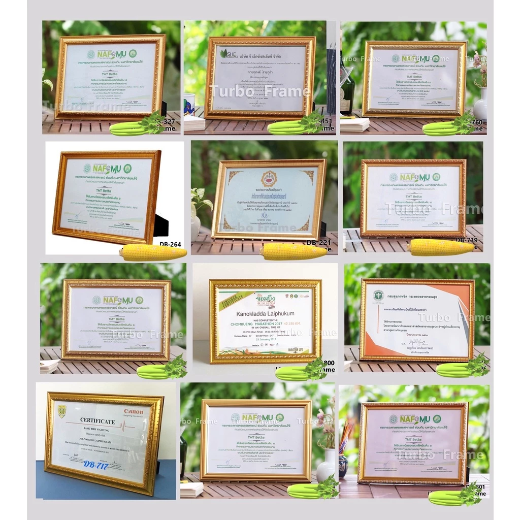 กรอบรูป A4 กรอบเกียรติบัตร พร้อมจัดส่ง ราคาประหยัด **พร้อมกระจกด้านหน้า **ขาตั้ง **หูแขวนผนัง