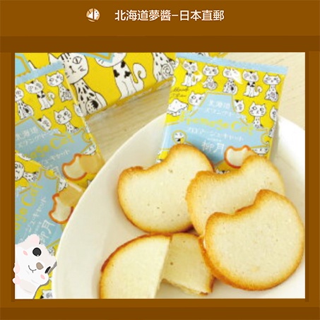 【Hokkaido Monchan, Direct from Japan】RyuGetsu Fromage Cat shape Cheese Chocolate Sandwich Japanese s