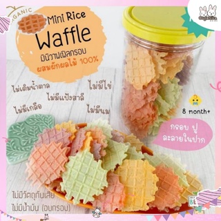 Begin ขนมเด็กมินิวาฟทำจากข้าวอบกรอบผสมผักผลไม้ “Mini Rice Waffle” มินิวาฟเฟิล”