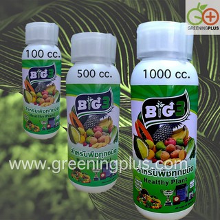 วัคซีนพืช BIG กระตุ้นภูมิสู้โรคลดตุ้นทุนเพิ่มผลผลิต ขนาด 500 ml.