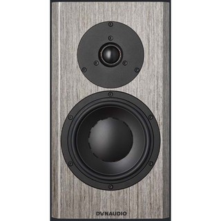 Dynaudio Special forty