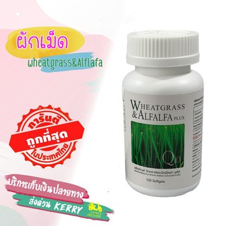 ผักเม็ด Wheatgrass and Alfalfa Plus 🔥สูตรดั้งเดิม ของแท้100% Amstrong